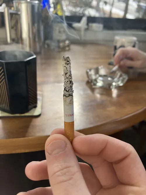 whole leaf by Total_Hat_6218