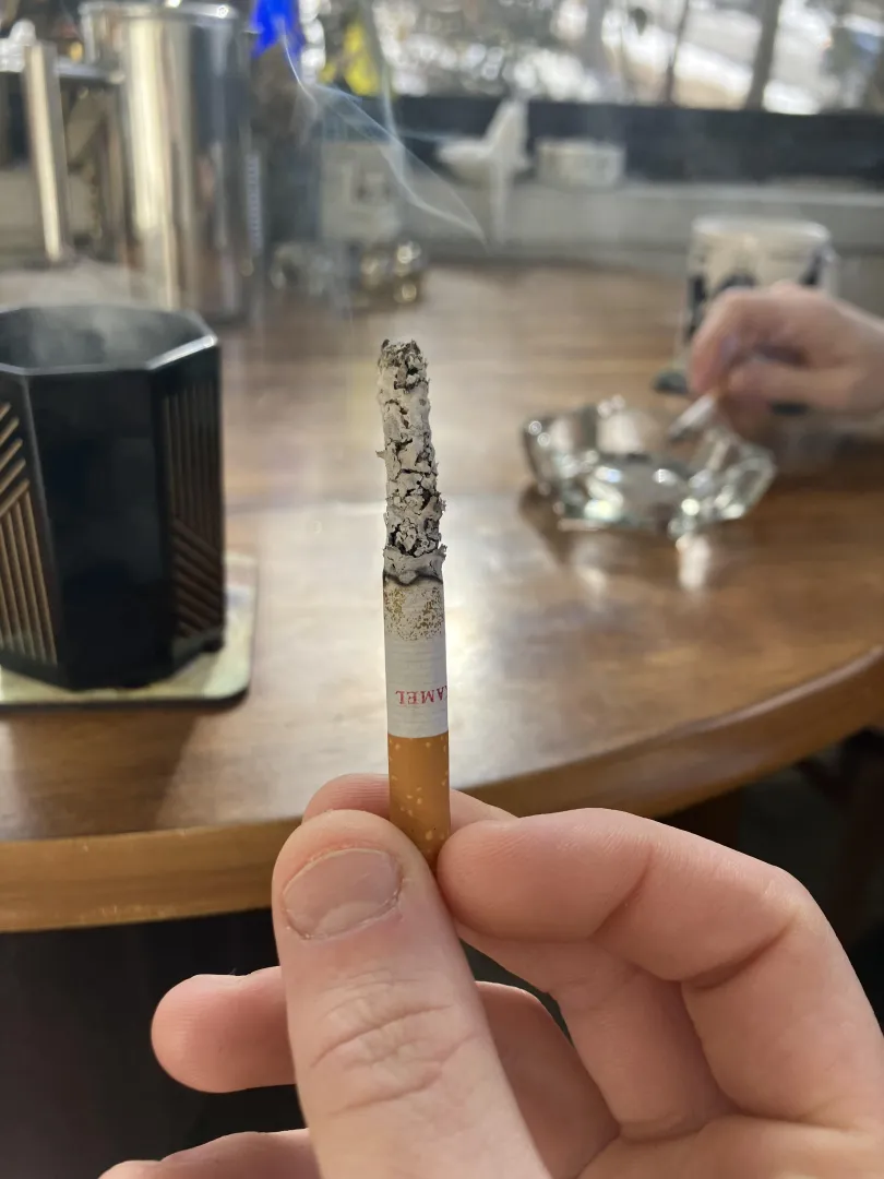 whole leaf posted by Total_Hat_6218