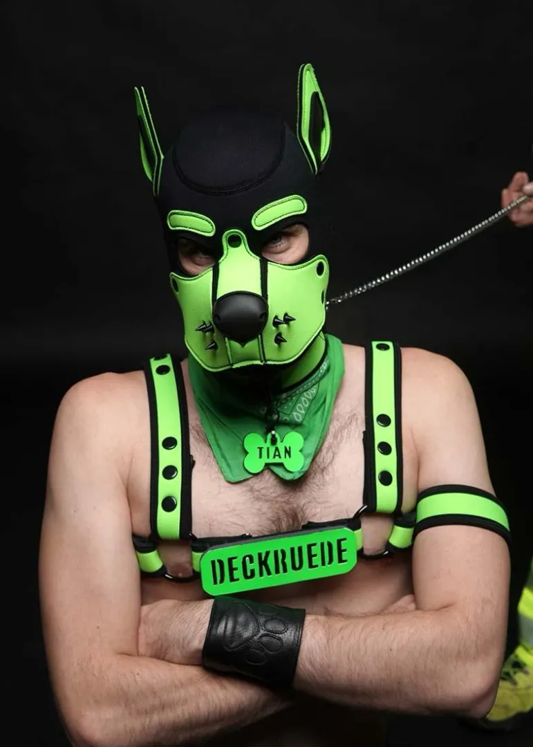  Who’s brave enough to play with the Deckruede? posted by pup-tian