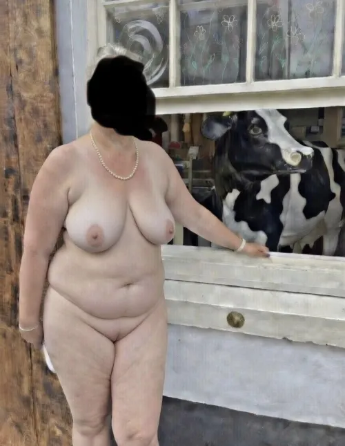 Who’s ever seen a cow being flashed at a window by lovestobelicked