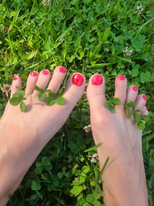 Who's feet enjoyed the sun today with four leaf clovers between her toes? by Honey_Havoc6243