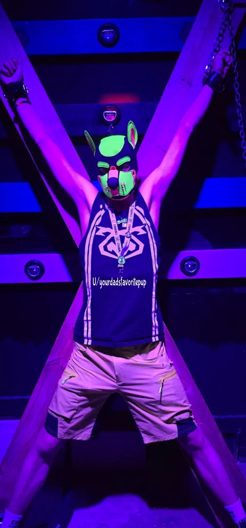 Who's going to rip my clothes off?  posted by Yourdadsfavoritepup