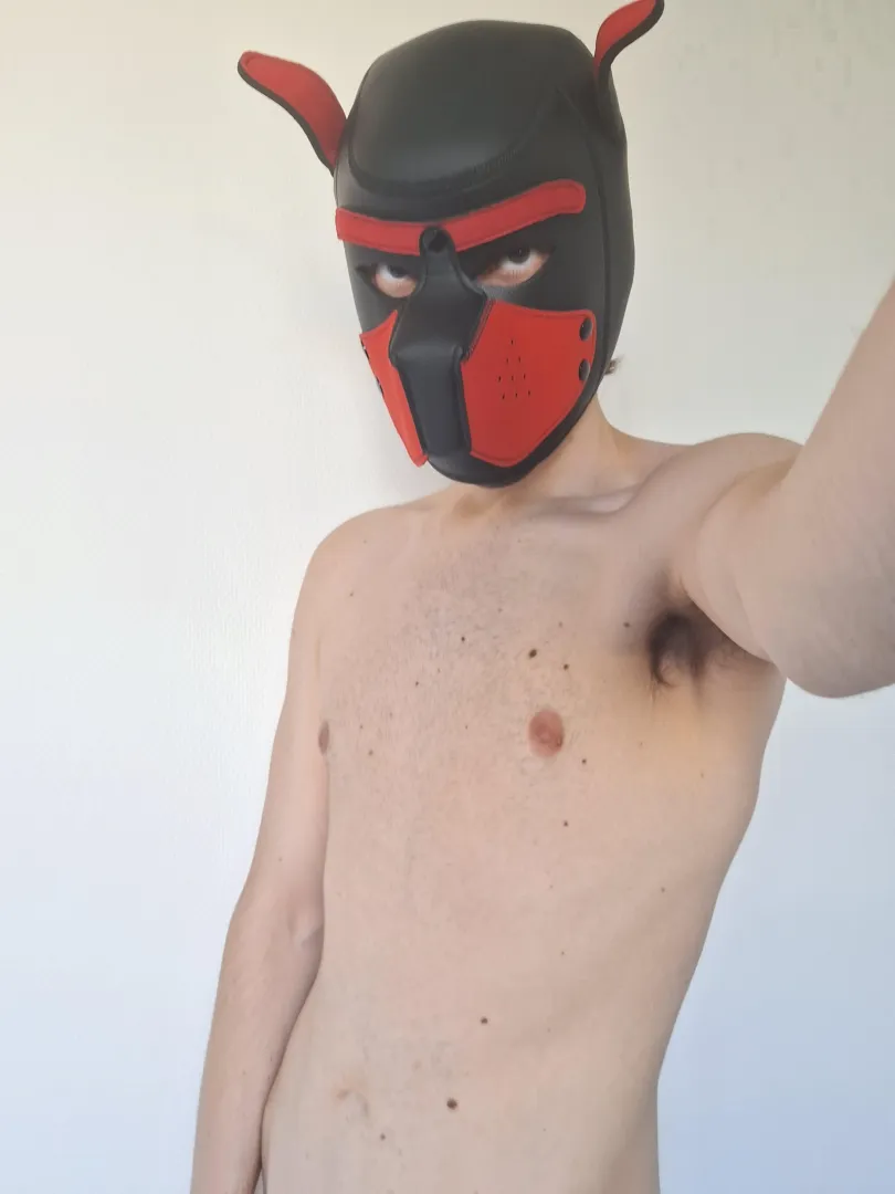 Who's gonna be my good boy? posted by Alarming_Form8744