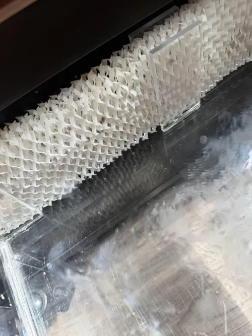 Why do these things cause mold? by rsessin