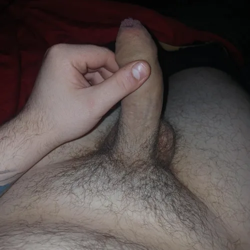 Why do us whitebois have such small cocks by lynxbeastv2