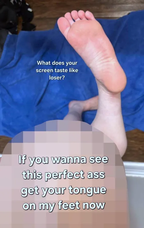 why would you ever need ass.. when you can just have my pretty soles? by findom_queenbee