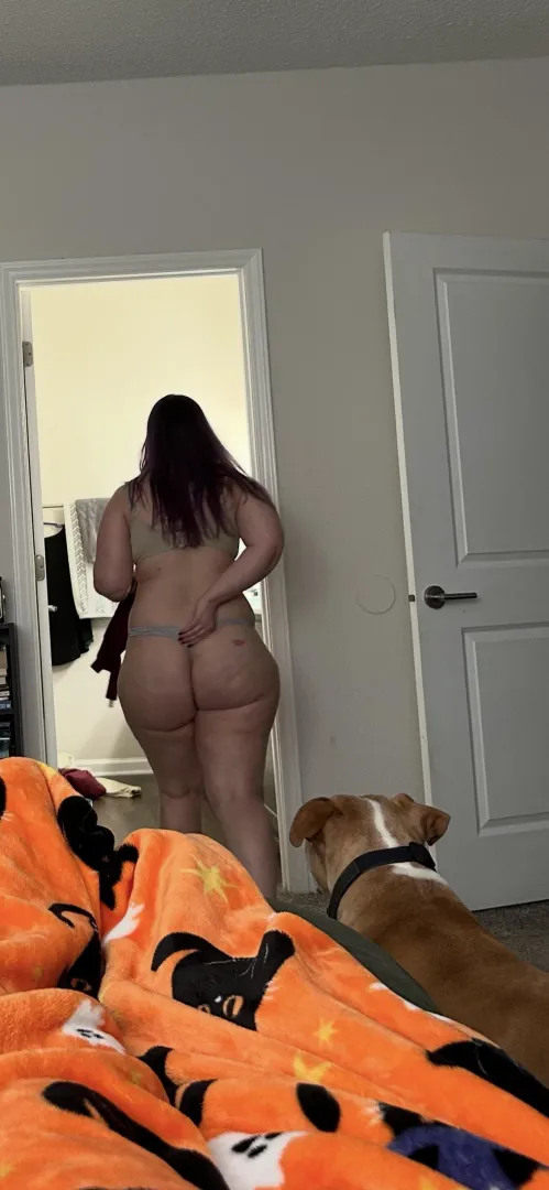 Wifebutt after bouncing on me all night posted by JamTreeOwl