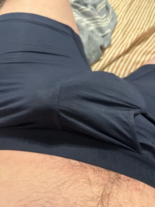 Wife’s out I’m hard by Lucky_Confection_314