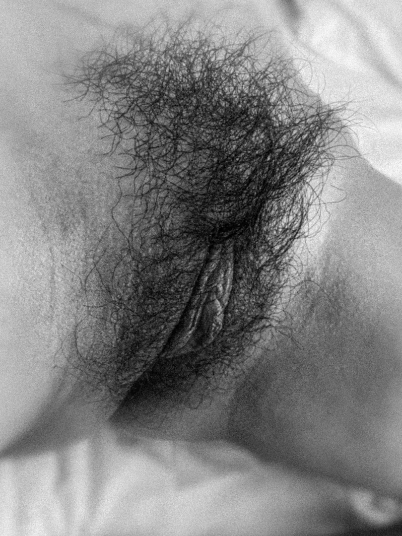 Wild bush posted by Chemical-Tale-790