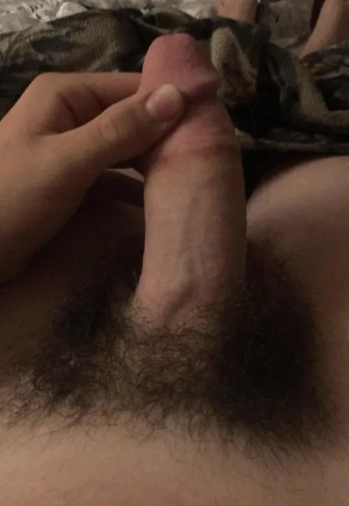 Will I get hairier lol? I want a bush 18 by Numerous_Step_4548