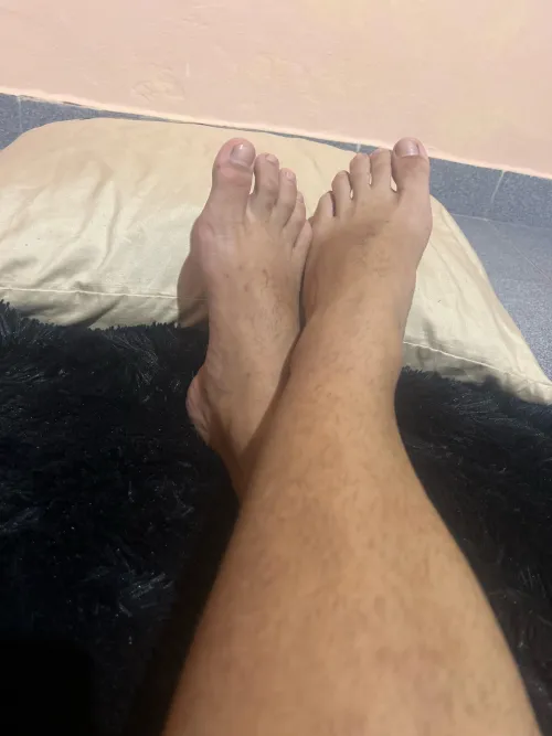 Will you be my beautiful footrest? by lucasolivar