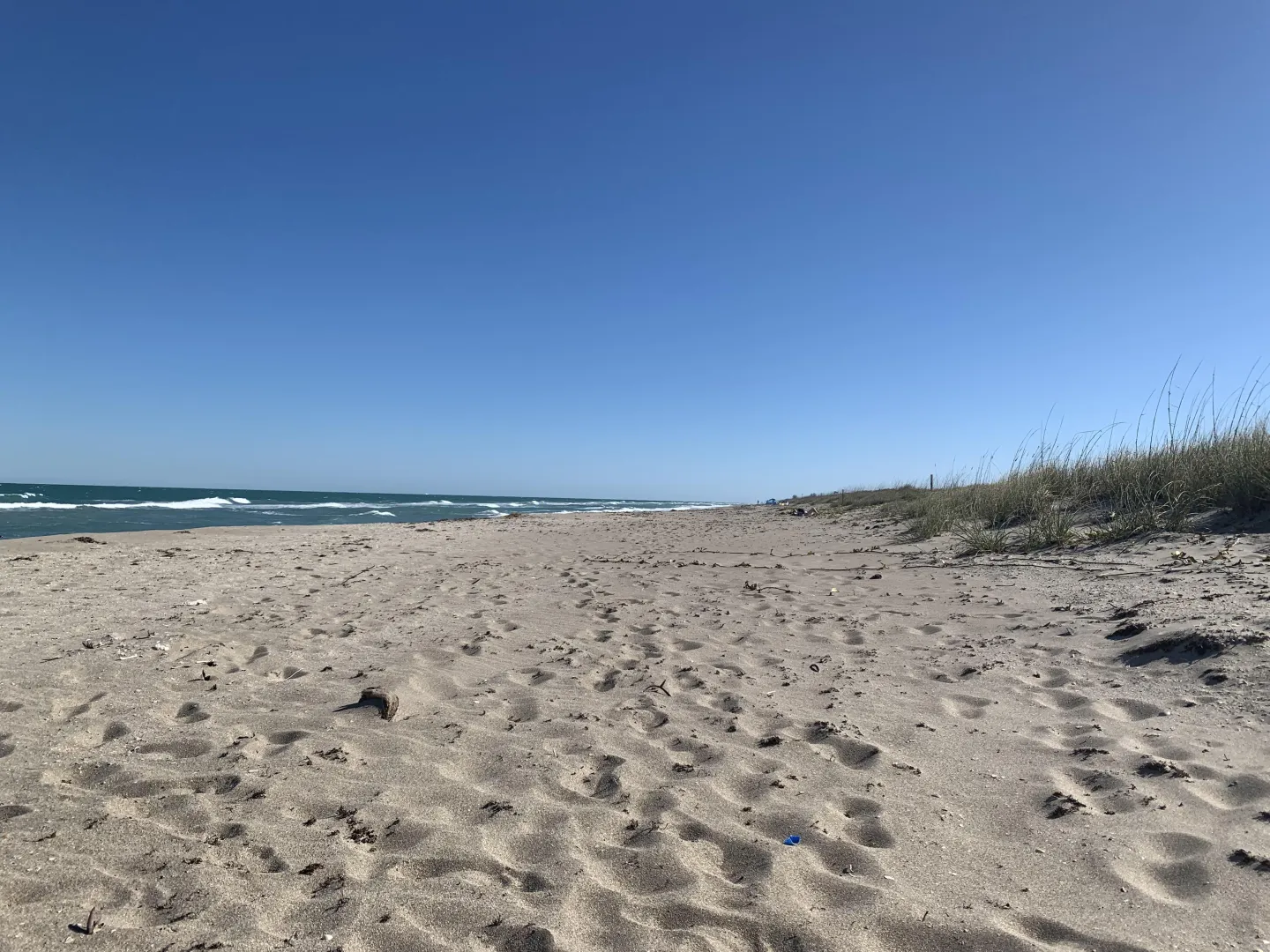 Windy, but otherwise picture perfect. posted by Successful-Coat9491