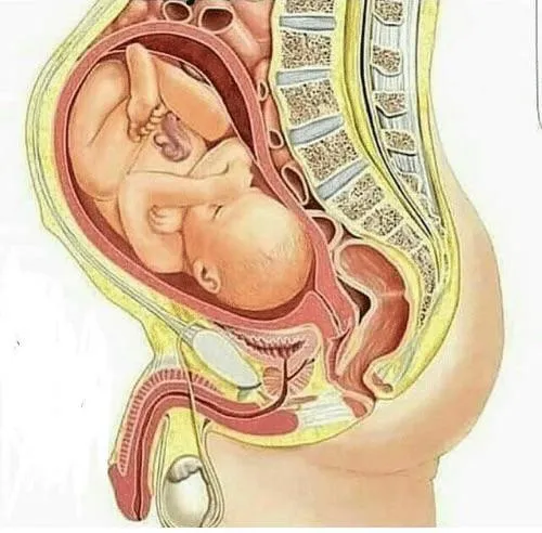 Wish I could find a man to make this happen  posted by Flat-Detective-8838