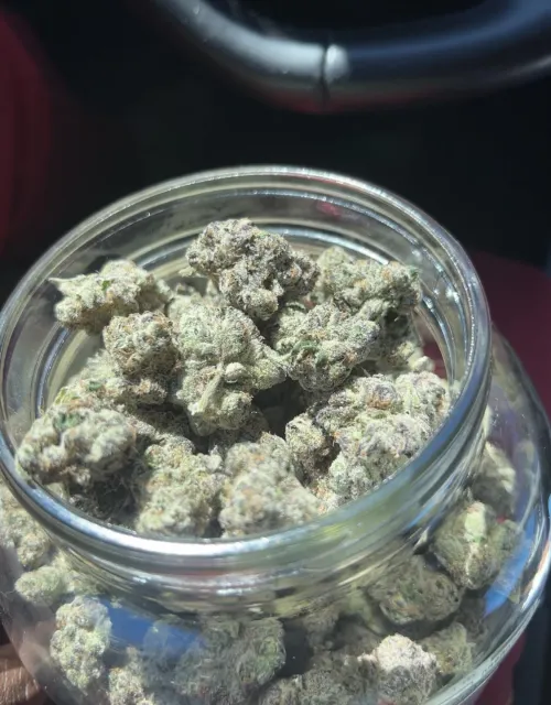 Wish Yall Could Smell It Through The Screen  by Comfortable_Touch_99