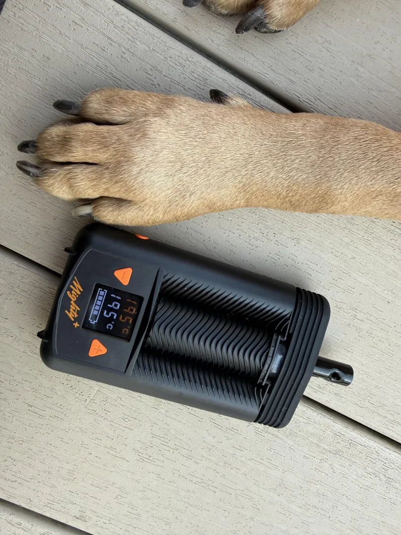 with a friend today. posted by ladygourdivaa