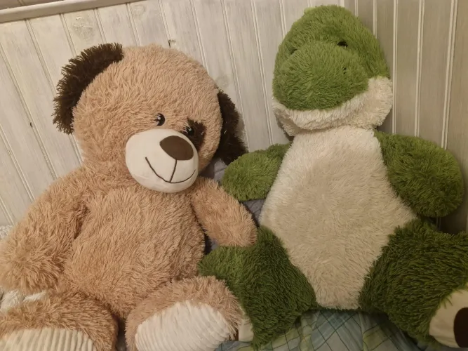 With which of the two I have sex? by According_Divide_860