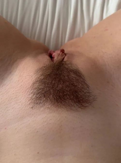 Wld u lick my pussy if I was ur gf? by woflanika