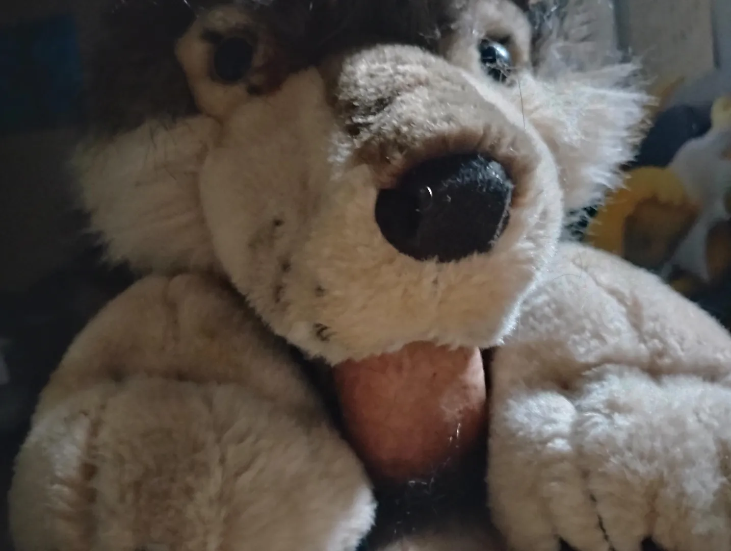 Wolf sucking my cock ~ posted by Rare_CuteBoy