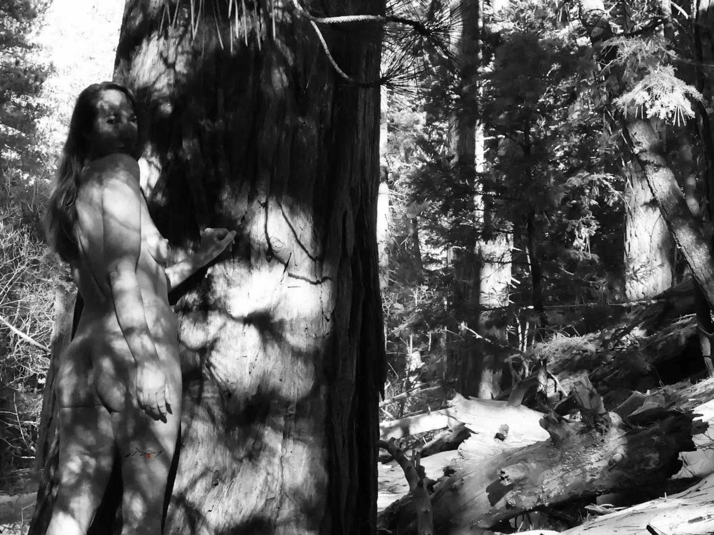 Wood you mind posted by TheNakedPeach