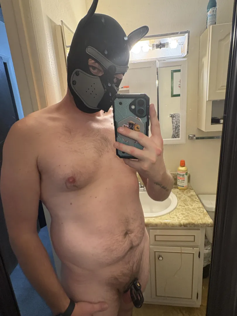 Woof. posted by Remote-Grapefruit292