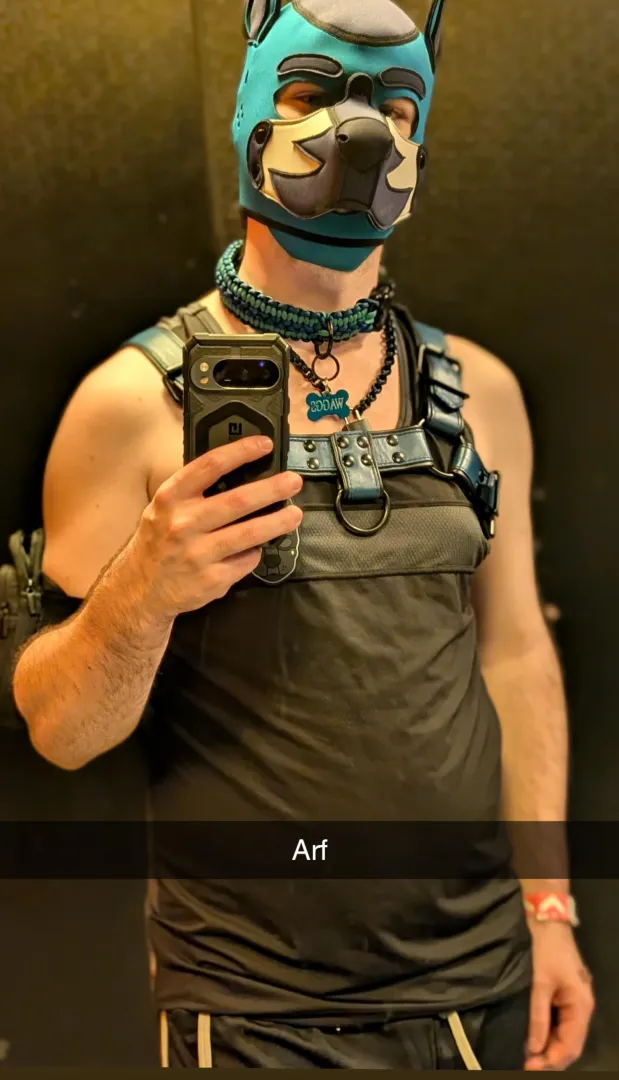 Woof! Had a great time at the bar posted by waggalsworth