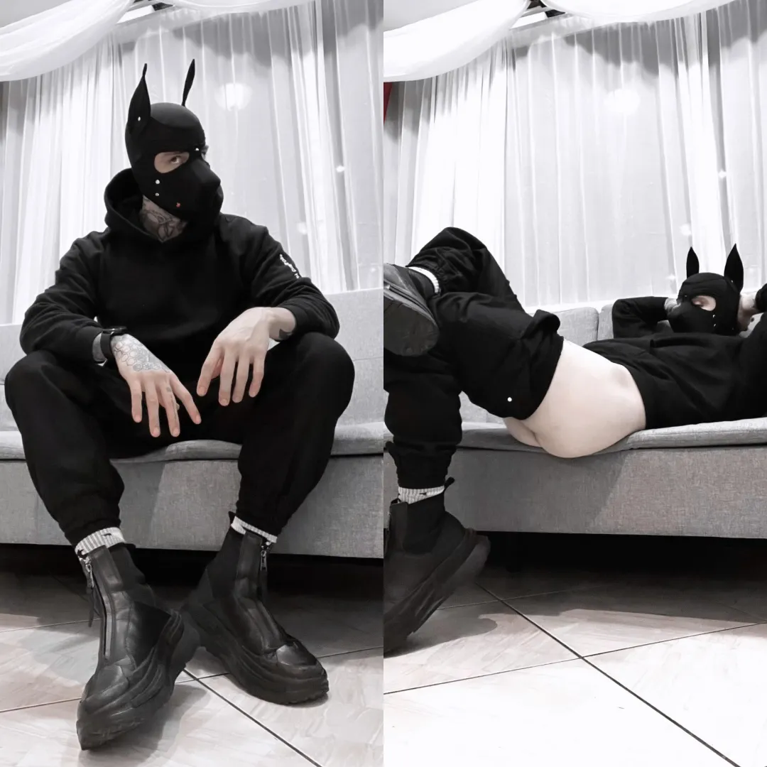 woof woof posted by riccimorx