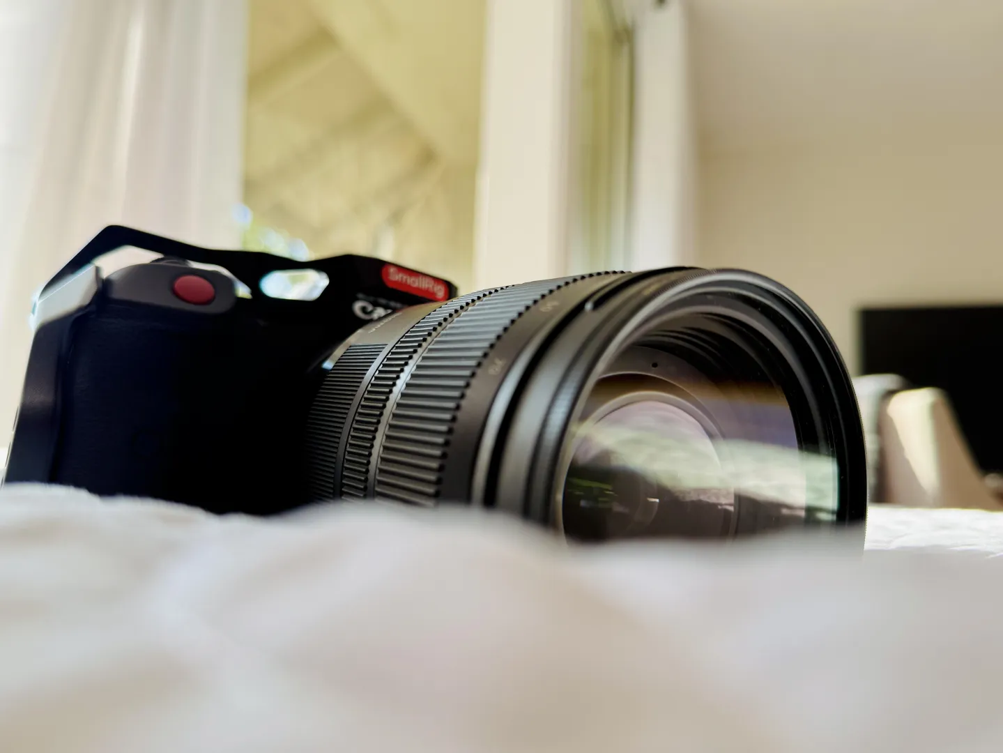 Work in Daphne posted by beardboycam91