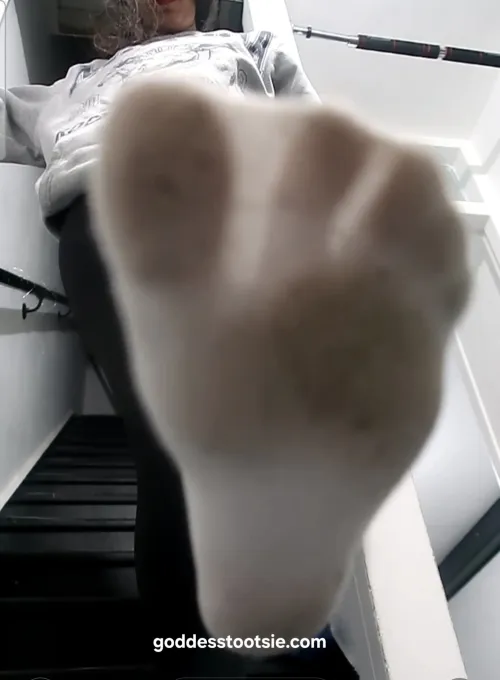 Worn slowly. Stored carefully. Smelly socks for those who understand hierarchy. by goddesstootsie