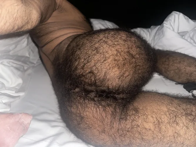 would you breed me ? by h4iryh0le