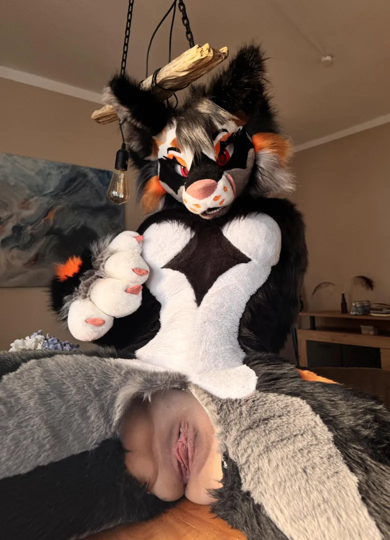 Would you eat this dinner?~ posted by Foxgirl_Nova