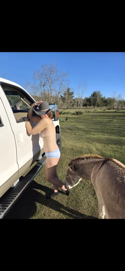 Would you help me feed by Basic_Health_2606