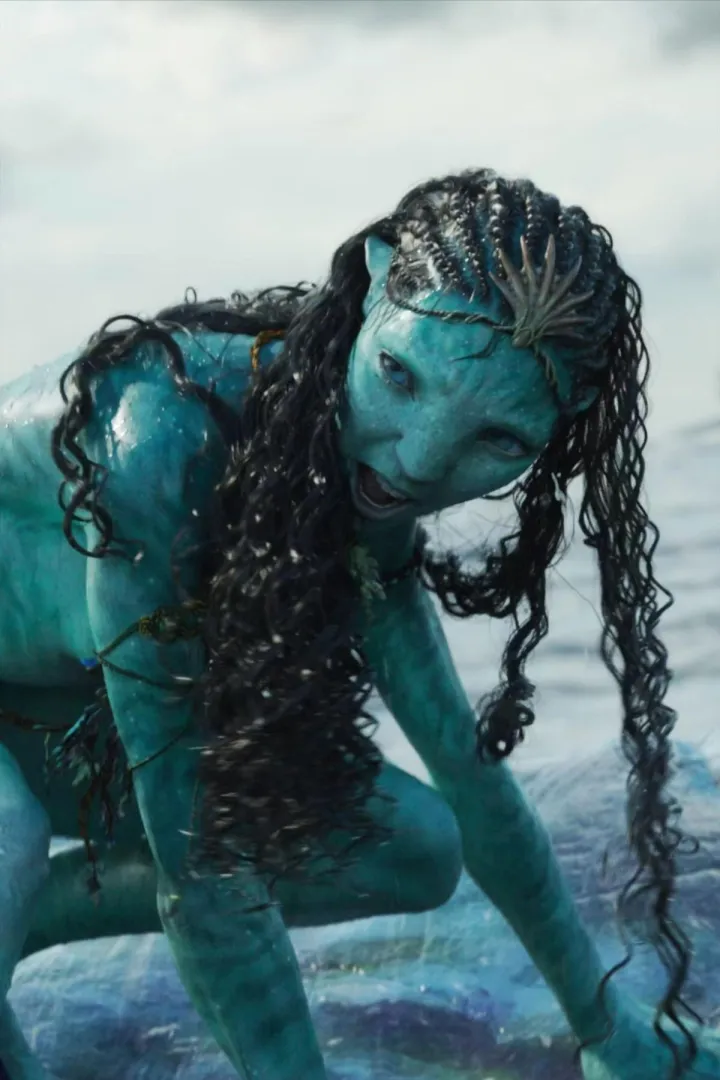 Would you put it in? posted by Warm-Manner-8946