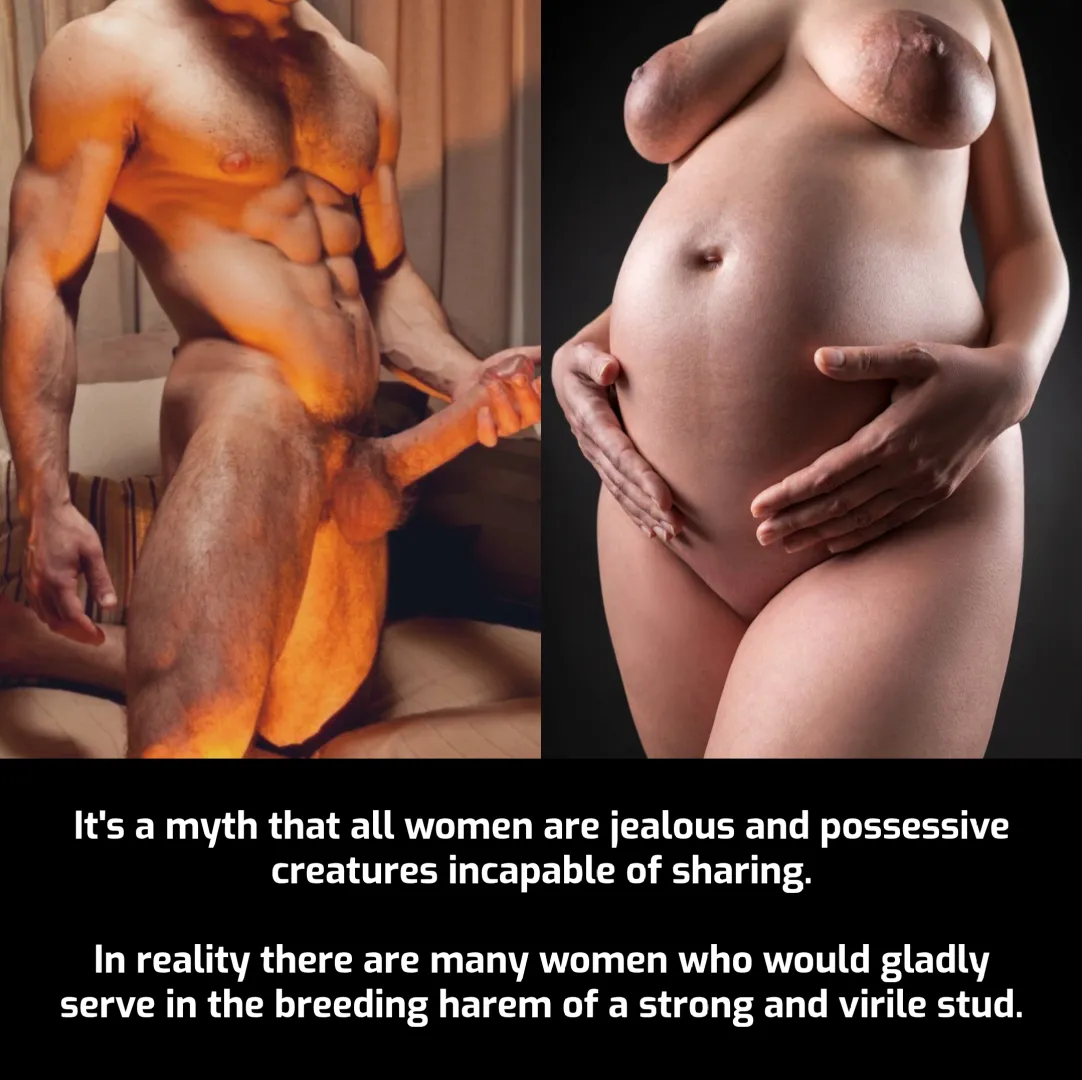 Would you serve? posted by shutupandswell