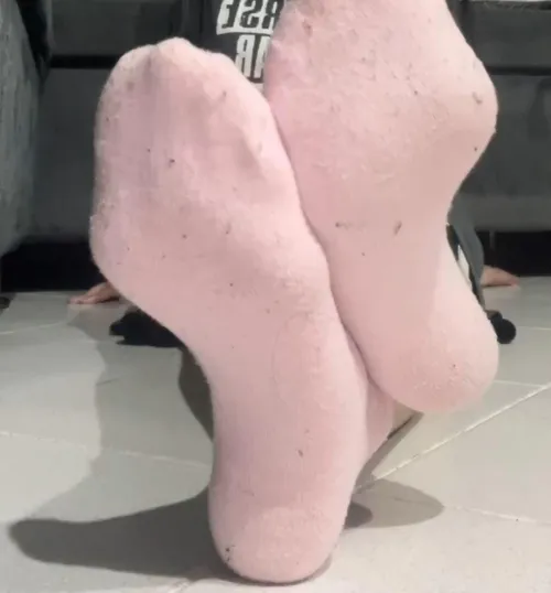 Would you sniff my socks? by Noumena102