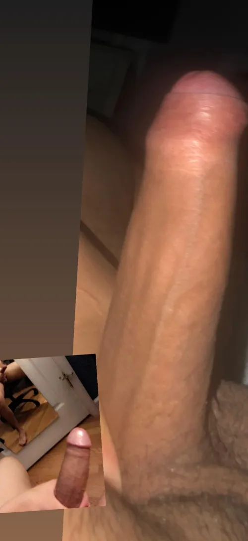 Would you suck my dick ? by Expert-Challenge-404