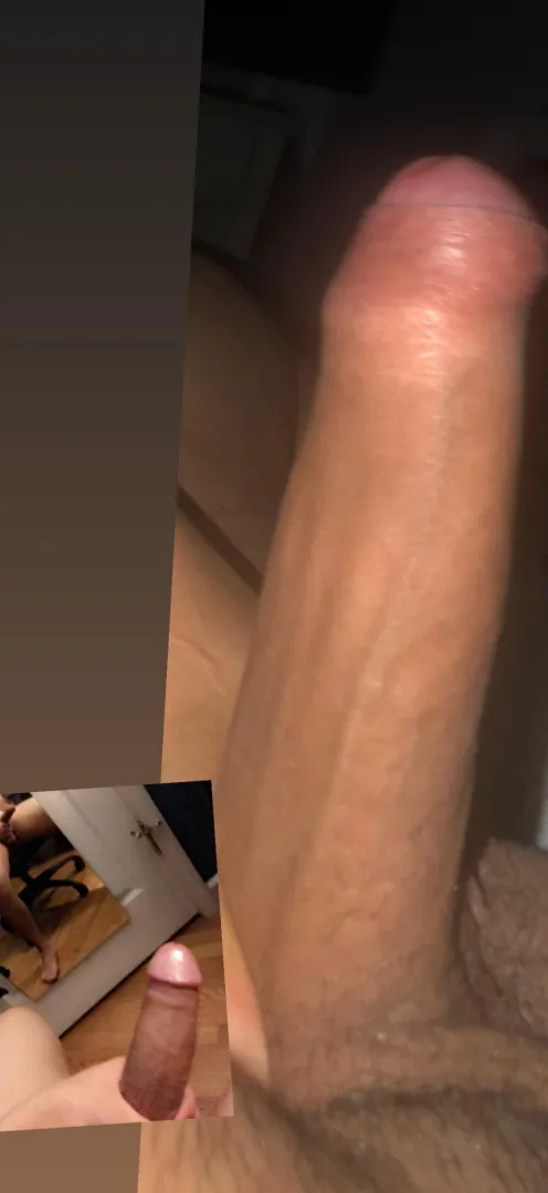 Would you suck my dick ? posted by Expert-Challenge-404