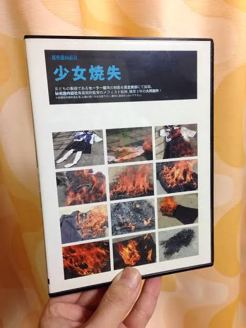 Wow Japanese films are seriously too strange posted by HonestzPractice