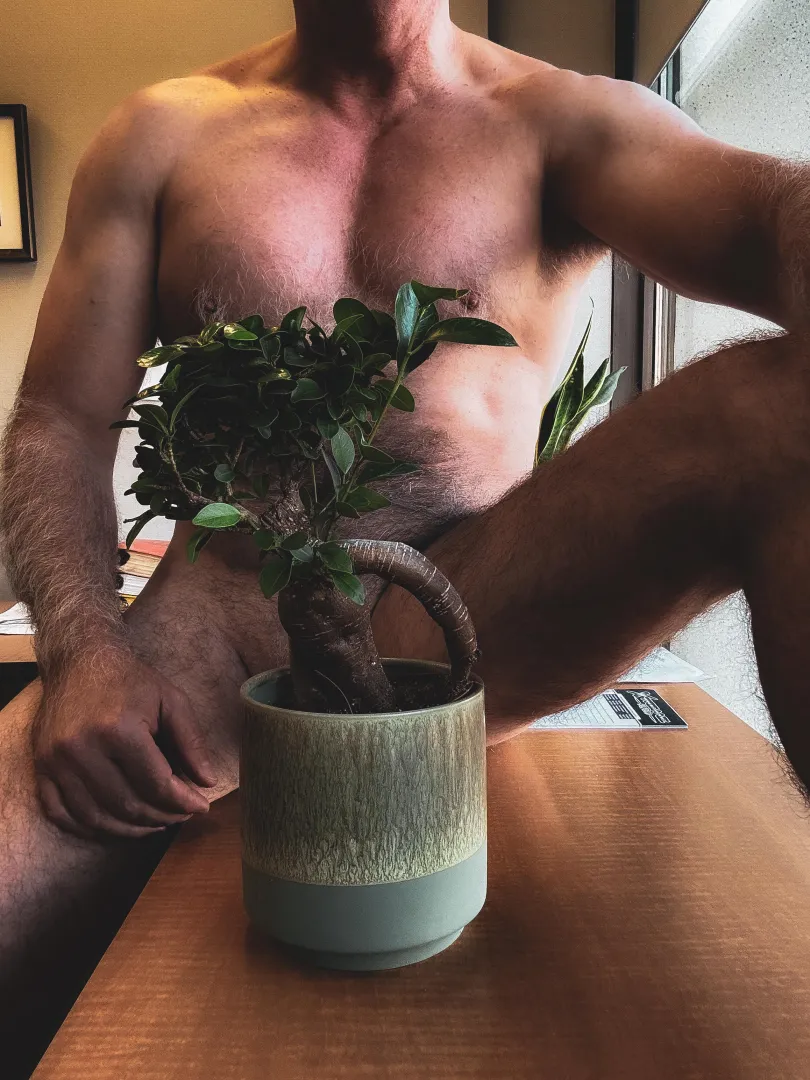 [wpc] Morning Wood.. posted by Quad-Z007