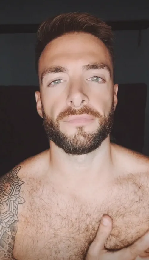 You and everything you own belongs to me  by dewolfbenjamin