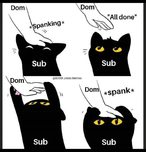 You can try to deny it... by No_Mode_6501