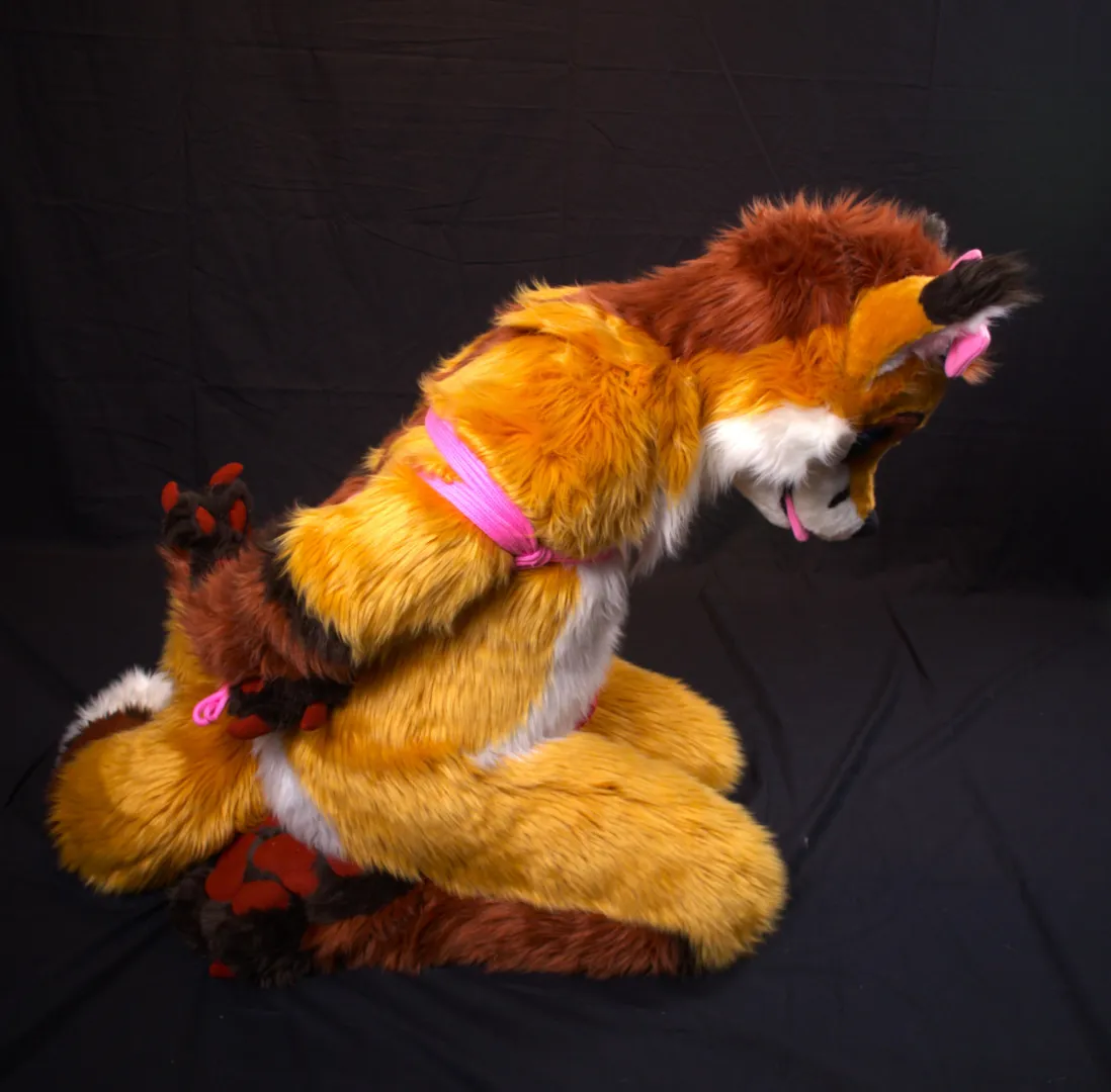 You caught a fox! What are you going to do? posted by Fynnie_Cuddle_Fox