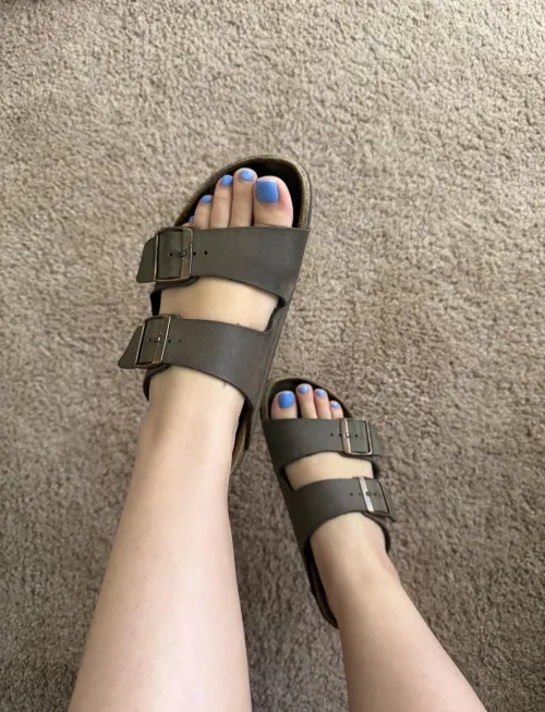 You gotta beg to sniff by selenaraexo