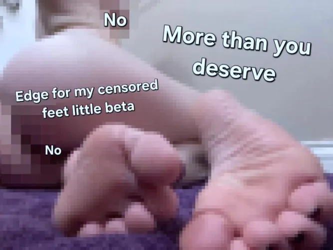 you know this is more than you even deserve  by findom_queenbee