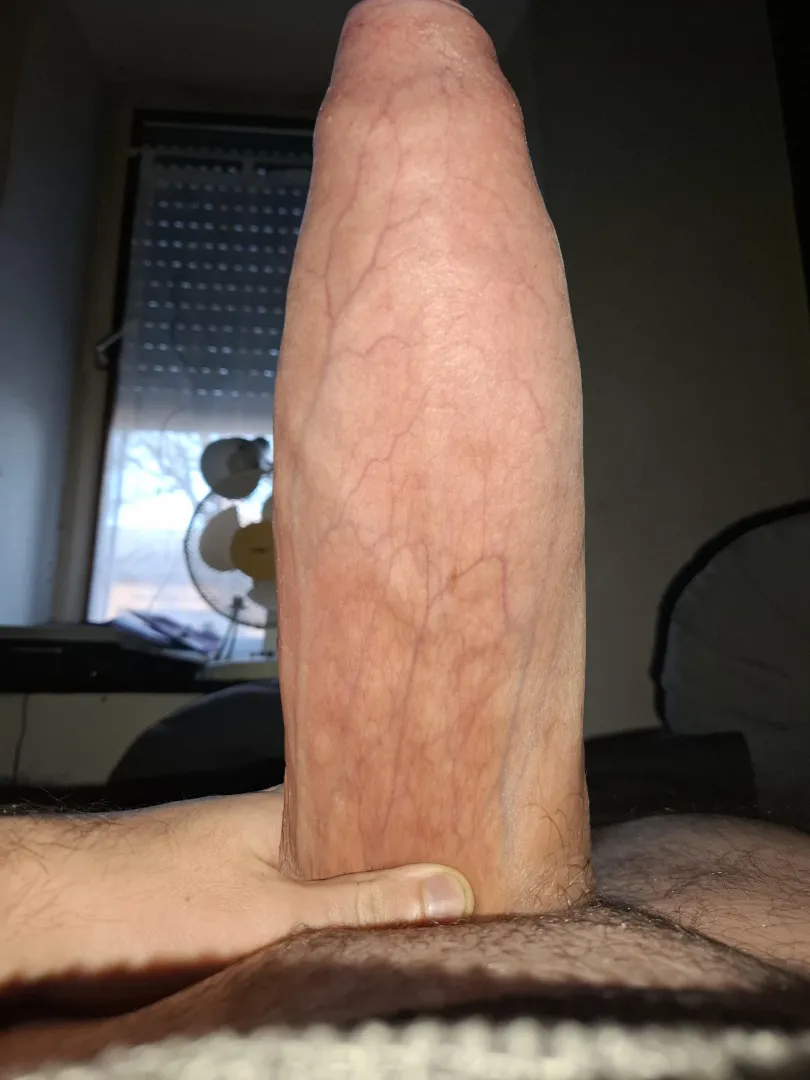 You think it's big enough? posted by TempusFinis97