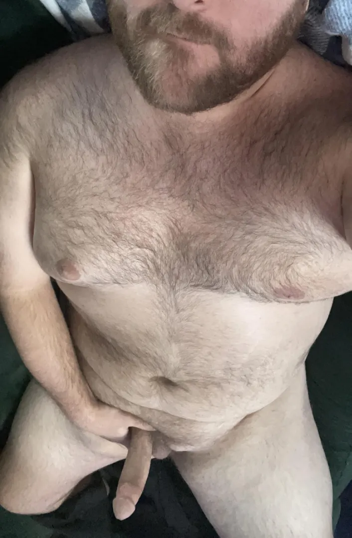 You walk in to find me like this on the couch. What’s next?  posted by TNBearinMA