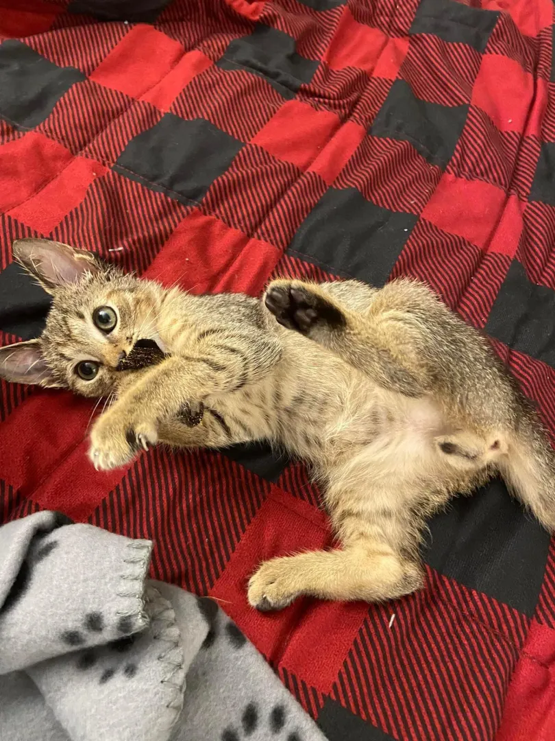 Young and not so de[M]ure in bed.  posted by AtomikRadio