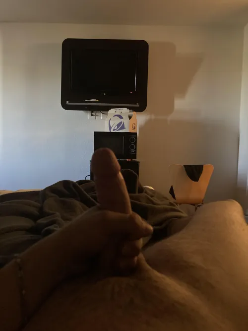 Young male(6’1” 195 lbs) looking for female, any age. Just want to fill holes with my cock “7+ and semi thick” by CarelessOne8623