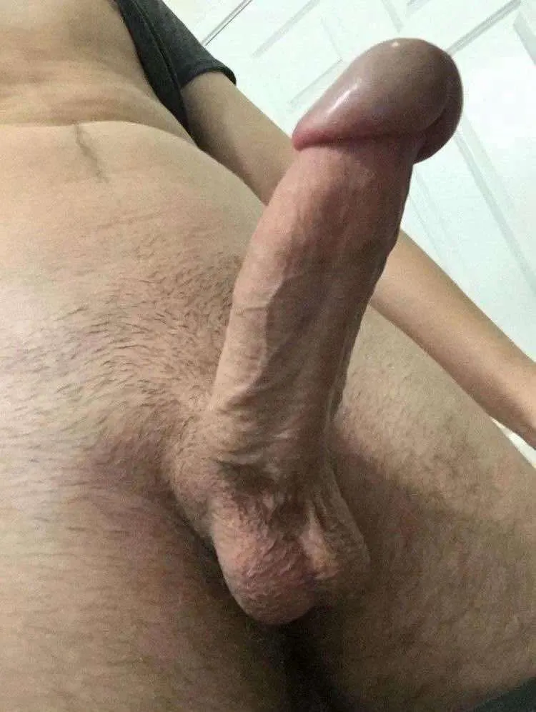 Your average American cock posted by shroomking5