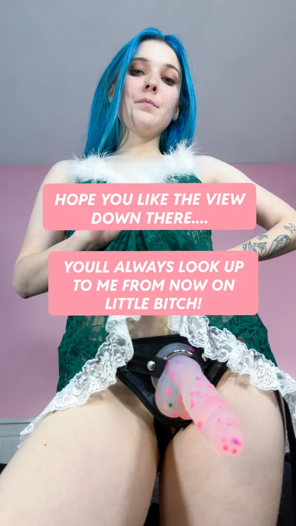 Your my bottom, below me, bow down and obey your godess.  posted by dizzyyqueen