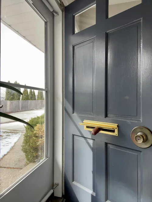 You've got male by Rex_BBC